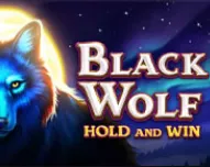 Black Wolf Slot